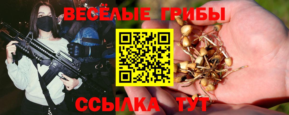 Псилоцибиновые грибы Psilocybe Кимовск